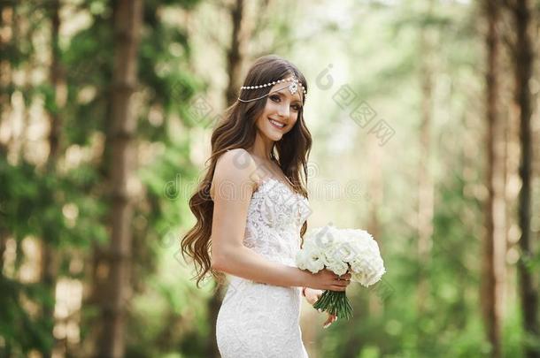 美丽的年幼的<strong>新娘</strong>和婚礼发型和珠宝采用紫胶