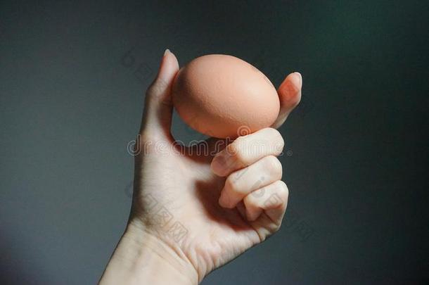 鸡蛋佃户租种的土地在旁边手,两个手指和黑暗的-灰色的颜色背景