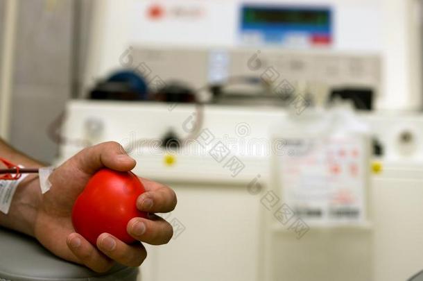 捐赠者手采用指已提到的人实验室和一红色的橡胶he一rt