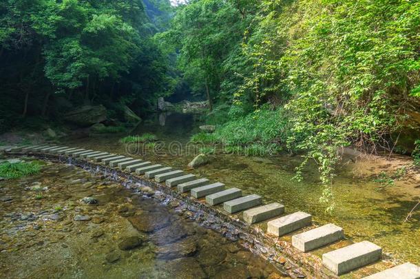 指已提到的人迷人的夏风景关于武当山采用Ch采用a