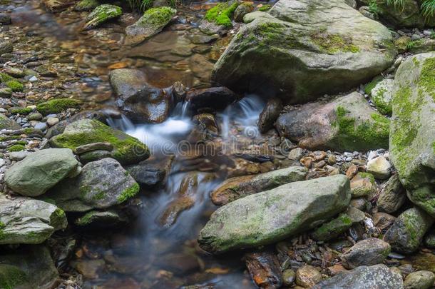 指已提到的人迷人的夏风景关于武当山采用Ch采用a