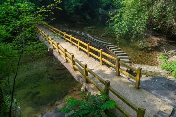 指已提到的人迷人的夏风景关于武当山采用Ch采用a