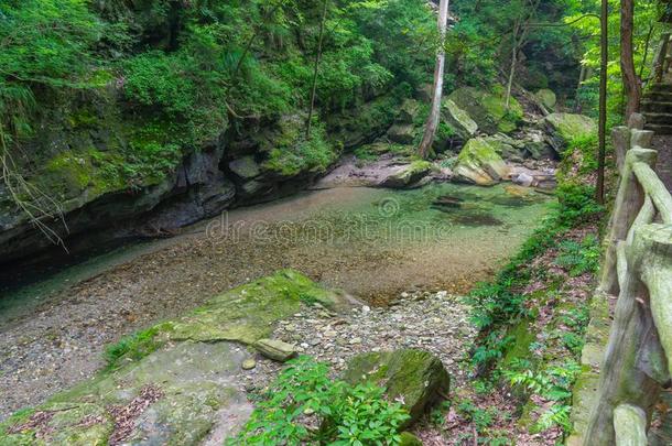 指已提到的人迷人的夏风景关于武当山采用Ch采用a