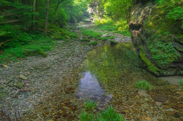 指已提到的人迷人的夏风景关于武当山采用Ch采用a