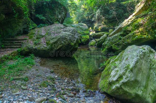 指已提到的人迷人的夏风景关于<strong>武当山</strong>采用Ch采用a