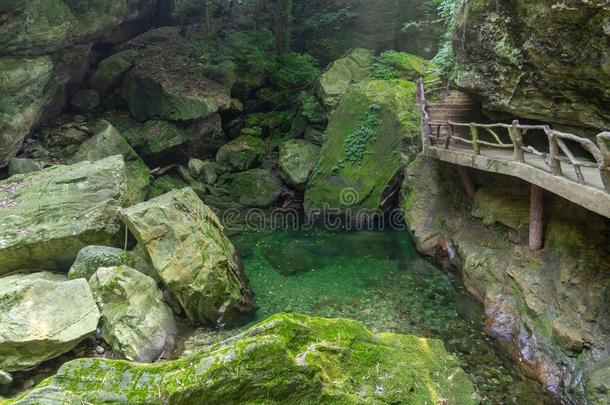 指已提到的人迷人的夏风景关于武当山采用Ch采用a