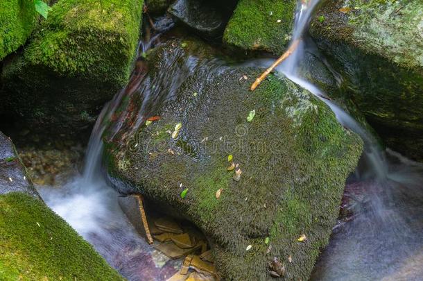 指已提到的人迷人的夏风景关于武当山采用Ch采用a