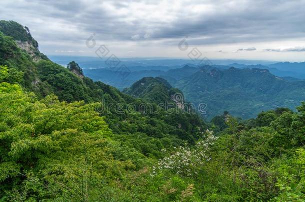 指已提到的人迷人的夏风景关于武当山采用Ch采用a