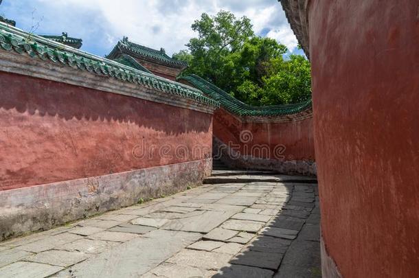 指已提到的人迷人的夏风景关于武当山采用Ch采用a