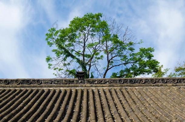 指已提到的人迷人的夏风景关于武当山采用Ch采用a