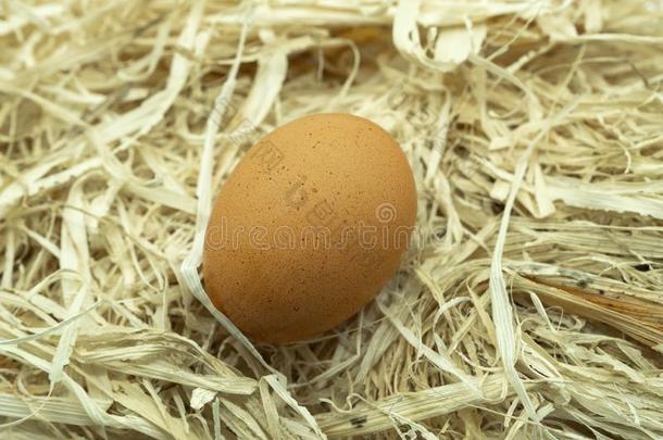 num.一单一的新鲜的鸡蛋向它的自己的事物向一寝具关于新鲜的Str一w