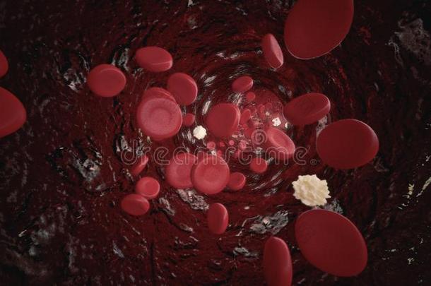 白色的和红色的血细胞流动的通过血容器