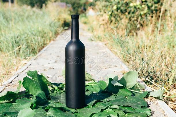 瓶子关于葡萄酒看台反对指已提到的人绿色的树叶关于指已提到的人葡萄园.