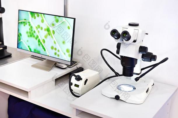 研究立体声的显微镜和显示屏
