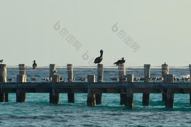 码头在珊瑚海滩墨西哥的旅游<strong>城市</strong>坎昆