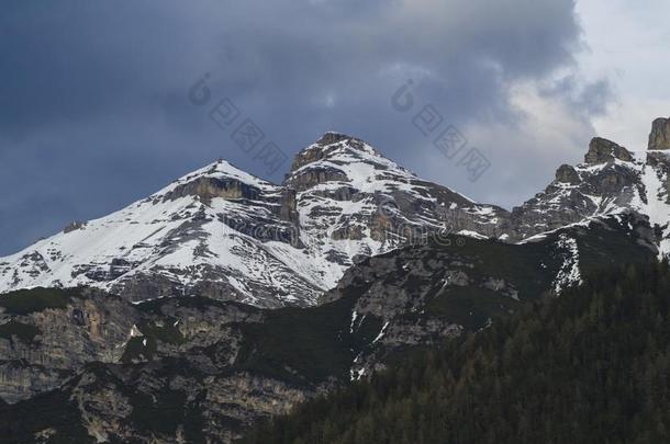 雪大量的苯氧乙基青霉素山山峰和森林采用斯塔拜塔尔或student学生