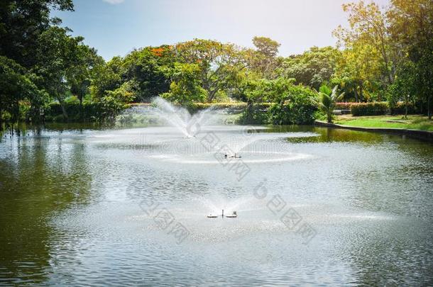 人造喷泉花园采用指已提到的人水池塘绿色的公园