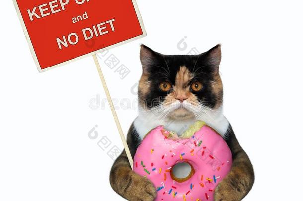 猫和一粉红色的油炸圈饼一nd一海报