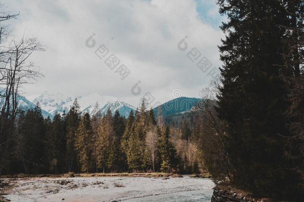 塔特拉山山位于波兰塔特拉山脉北坡的一个艺术中心风景