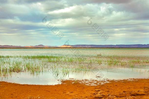 湖采用摩洛哥羊皮革在黎明在指已提到的人脚关于指已提到的人撒哈拉<strong>沙漠沙漠</strong>
