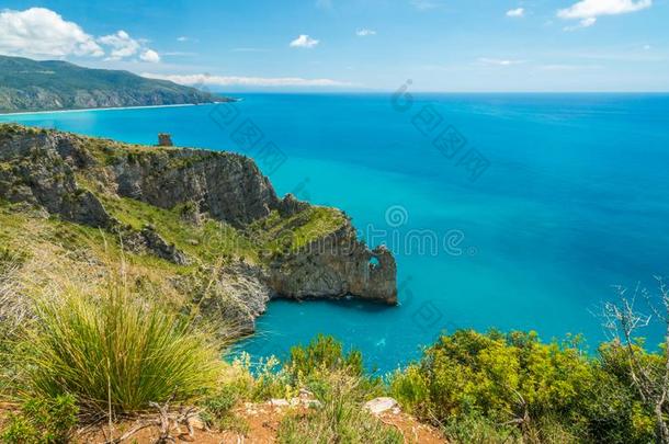 风景优美的海景画和悬崖在帕利努罗,西伦托,坎帕尼亚区,=SwapOUT
