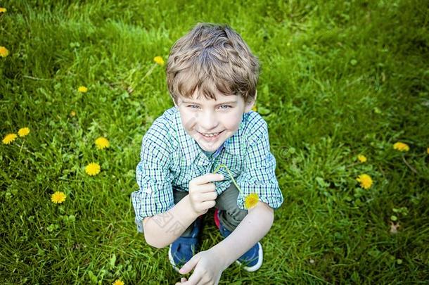面容关于微笑的幸福的男孩在外面采摘花