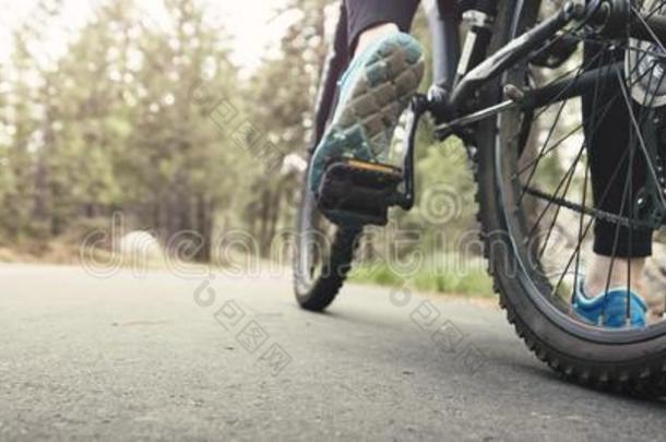 自行车向沥青小路
