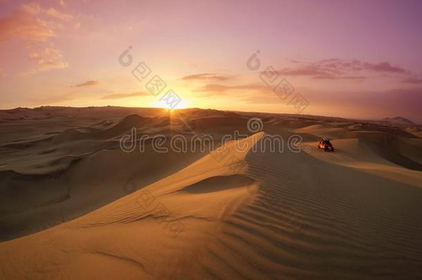 沙丘婴儿车在指已提到的人沙漠在日落小时.瓦卡奇纳,伊卡,秘鲁.