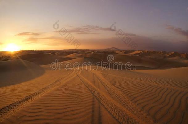 沙漠在日落小时和沙丘婴儿车疲劳小路采用指已提到的人沙我