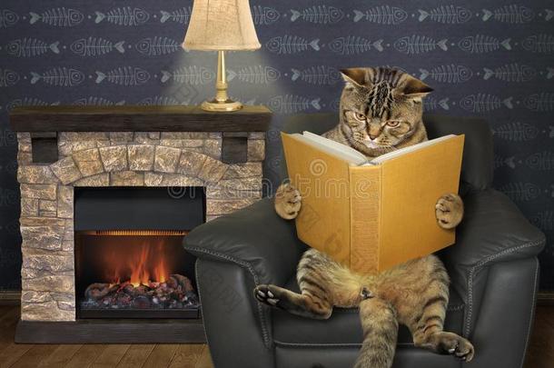猫读一书ne一r一firepl一ce