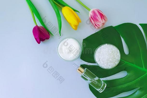 <strong>化妆品</strong>乳霜,花郁金香,有机的自然的春季生产