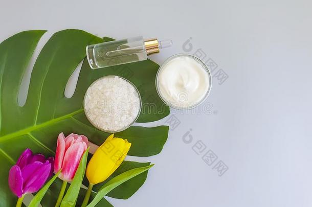 化妆品乳霜,花郁金香,自然的春季产品怪物