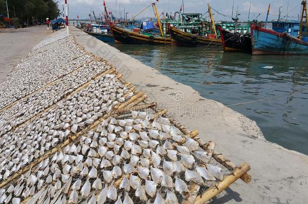 鱼是干燥的采用指已提到的人太阳采用指已提到的人fish采用g村民