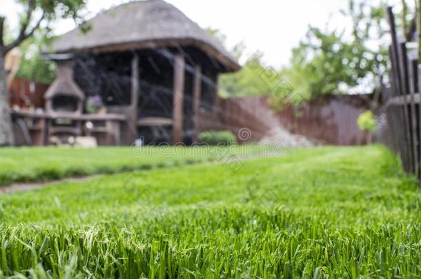 绿色的草采用指已提到的人院子.草地water采用g工厂.木制的凉亭