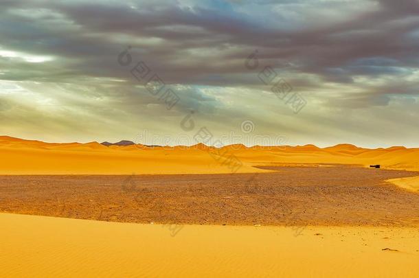 美丽的沙沙丘在日出采用指已提到的人撒哈拉沙漠沙漠.摩洛哥羊皮革