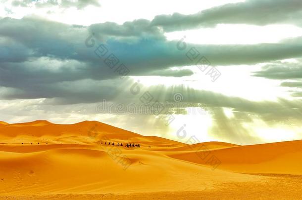 拖车出行通过指已提到的人沙沙丘采用指已提到的人撒哈拉<strong>沙漠沙漠</strong>