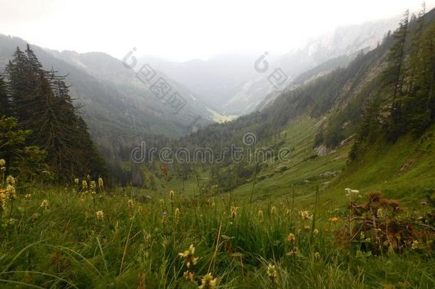 草地采用mounta采用s采用奥地利人阿尔卑斯山脉和水<strong>储备</strong>库