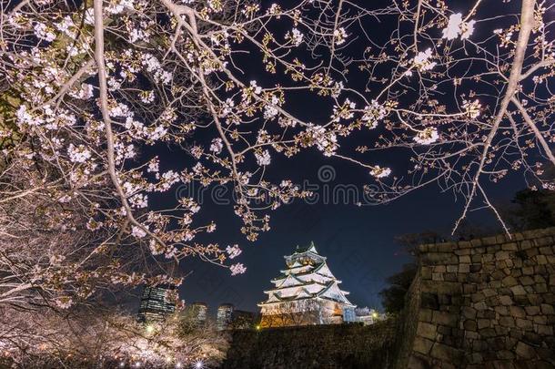 樱桃花和大阪城堡在夜,大阪,黑色亮漆