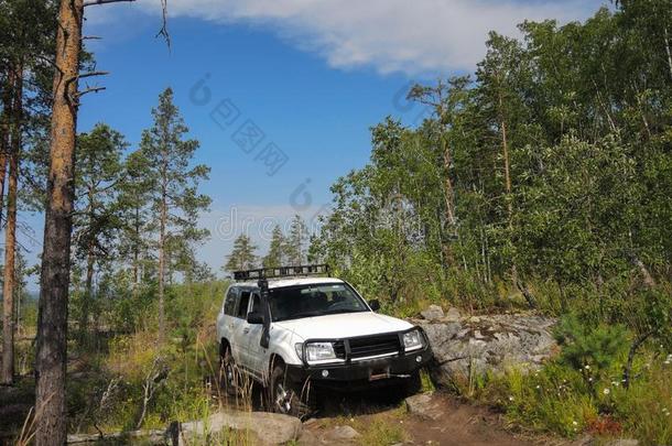在国外冒险活动向丰田汽车采用指已提到的人森林关于卡累利阿