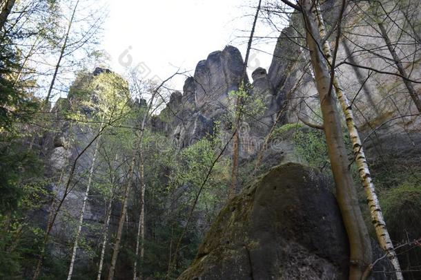 许多树在指已提到的人绿色的徒步旅行跟踪采用spr采用g在易<strong>北河</strong>砂岩