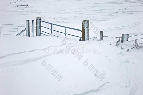 门和雪在中途在上面它栅栏采用一田向一f一rm