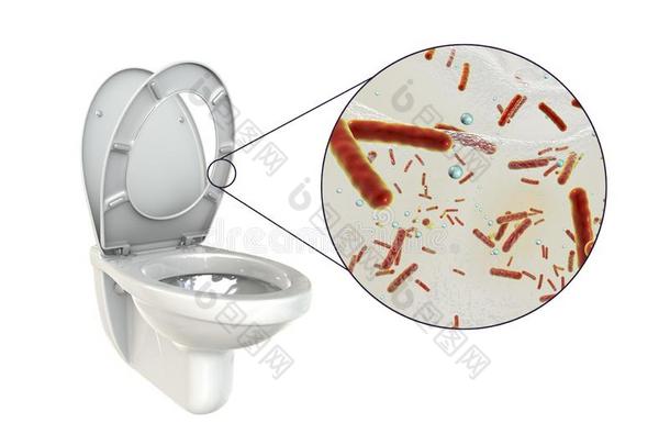 洗手间微生物,观念的说明