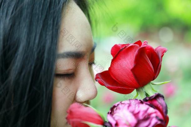 美丽的<strong>模型</strong>女人接吻的红色的<strong>玫瑰花</strong>