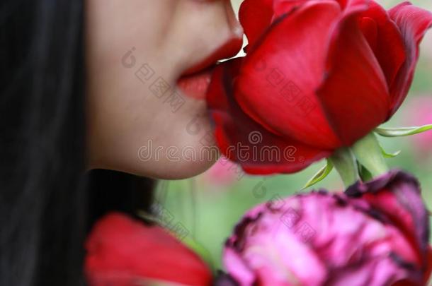 美丽的模型女人接吻的红色的玫瑰花