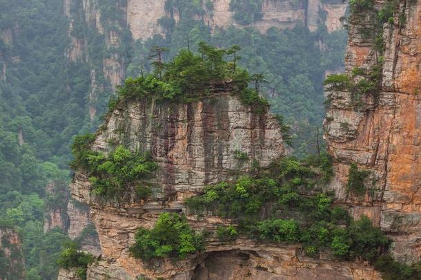 天子化身山自然公园-七月中国