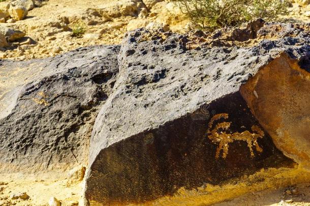 古代的岩石齿轮传动装置在近处<strong>关机</strong>博克,指已提到的人内盖夫沙漠