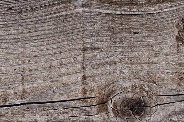 灰色的风化的木材质地展映打开,结和生长reportidentificationnumber数字鉴定报告