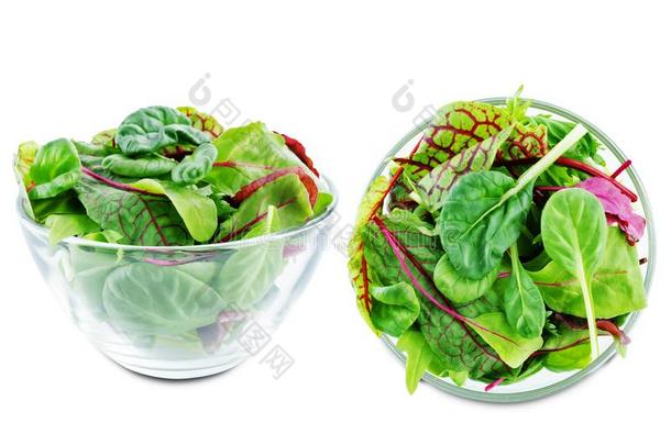 绿色的树叶为莴苣,菠菜,可供食用的甜菜,芝麻菜,甜菜绿叶蔬菜英语字母表的第15个字母