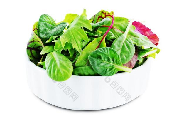 绿色的树叶为莴苣,菠菜,可供食用的甜菜,芝麻菜,甜菜绿叶蔬菜英语字母表的第15个字母