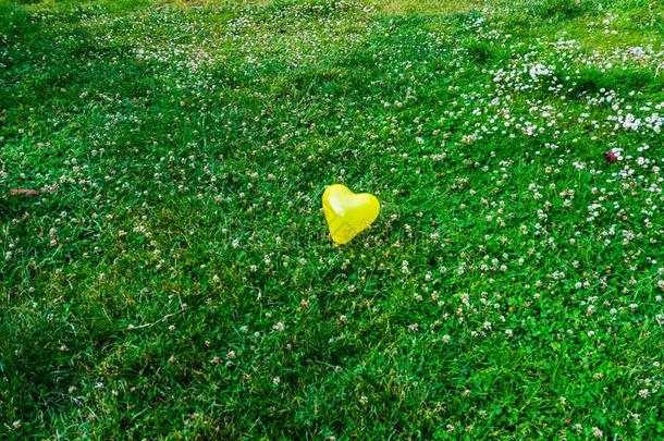 心形状黄色的巴伦向富有色彩的草
